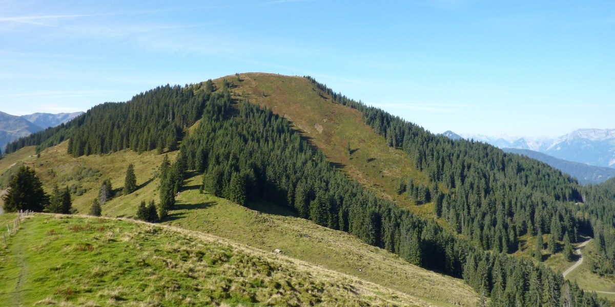 Roßkopf Oberau - Wandelen